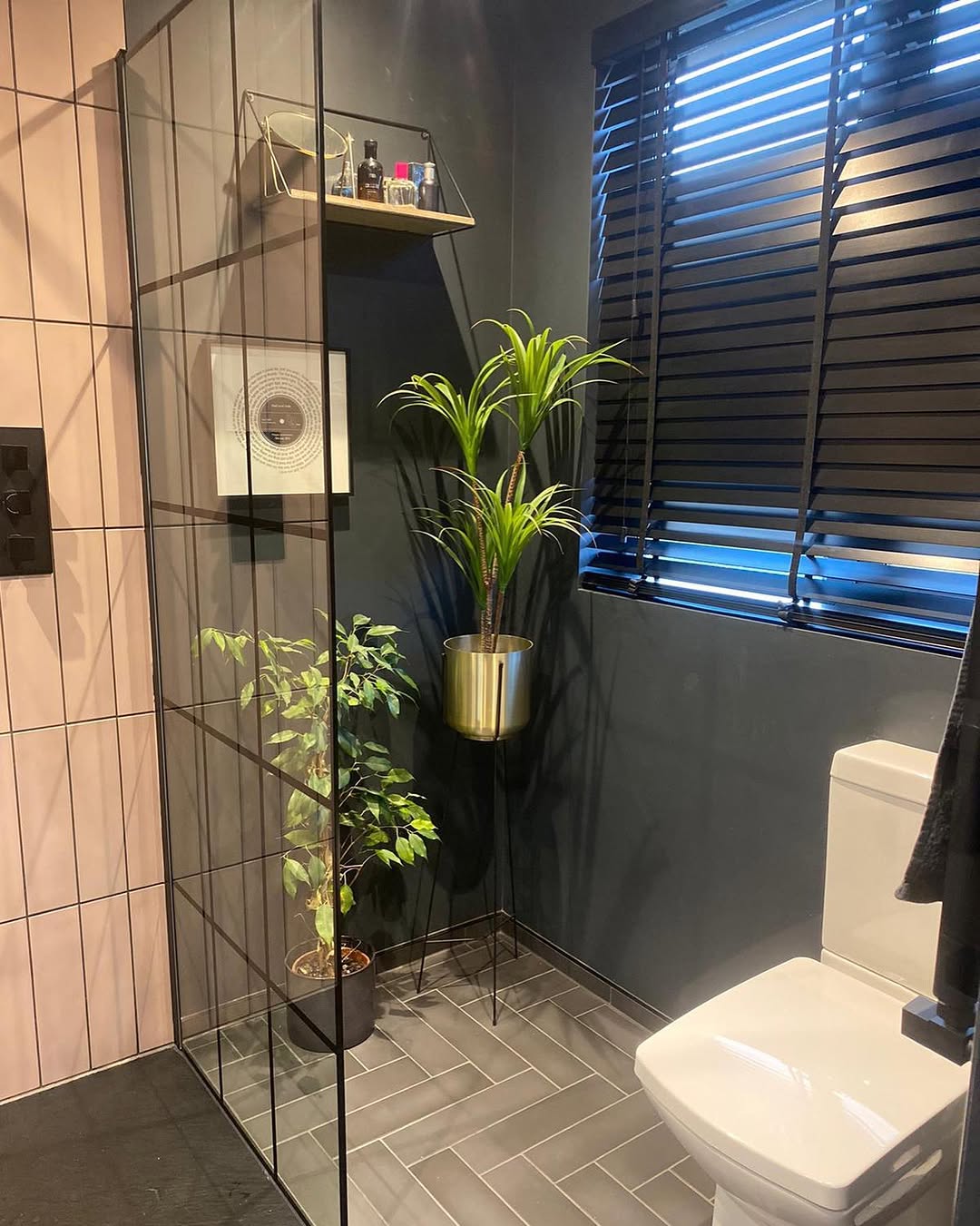 Dark moody en suite with Crittall shower screen, plants, and venetian blinds